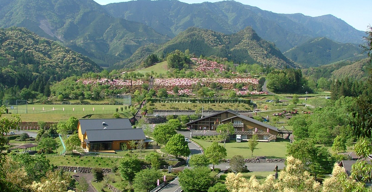 よみがえる荘園 🌼寄せ植え教室開催中🌼 人文