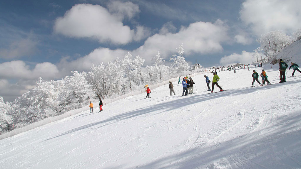 スキー体験（五ヶ瀬町）