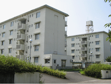 apartment 大字向江（京町区）
