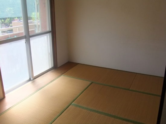 apartment 大字向江（京町区）