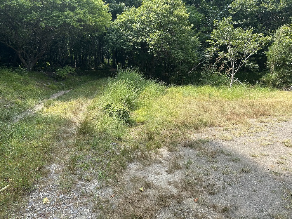  門川町大字川内5558-2