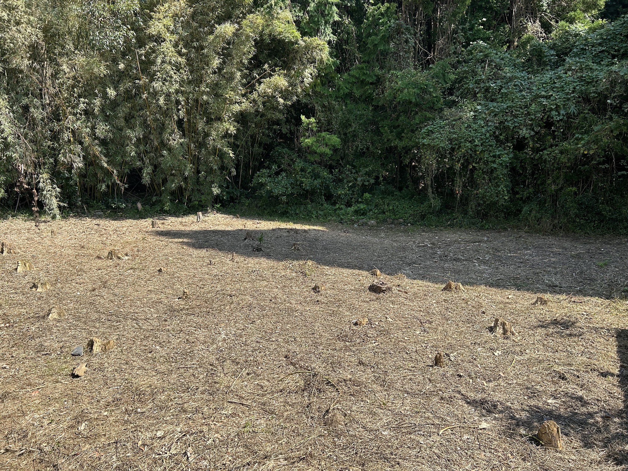  宮崎県東臼杵郡門川町大字庵川484