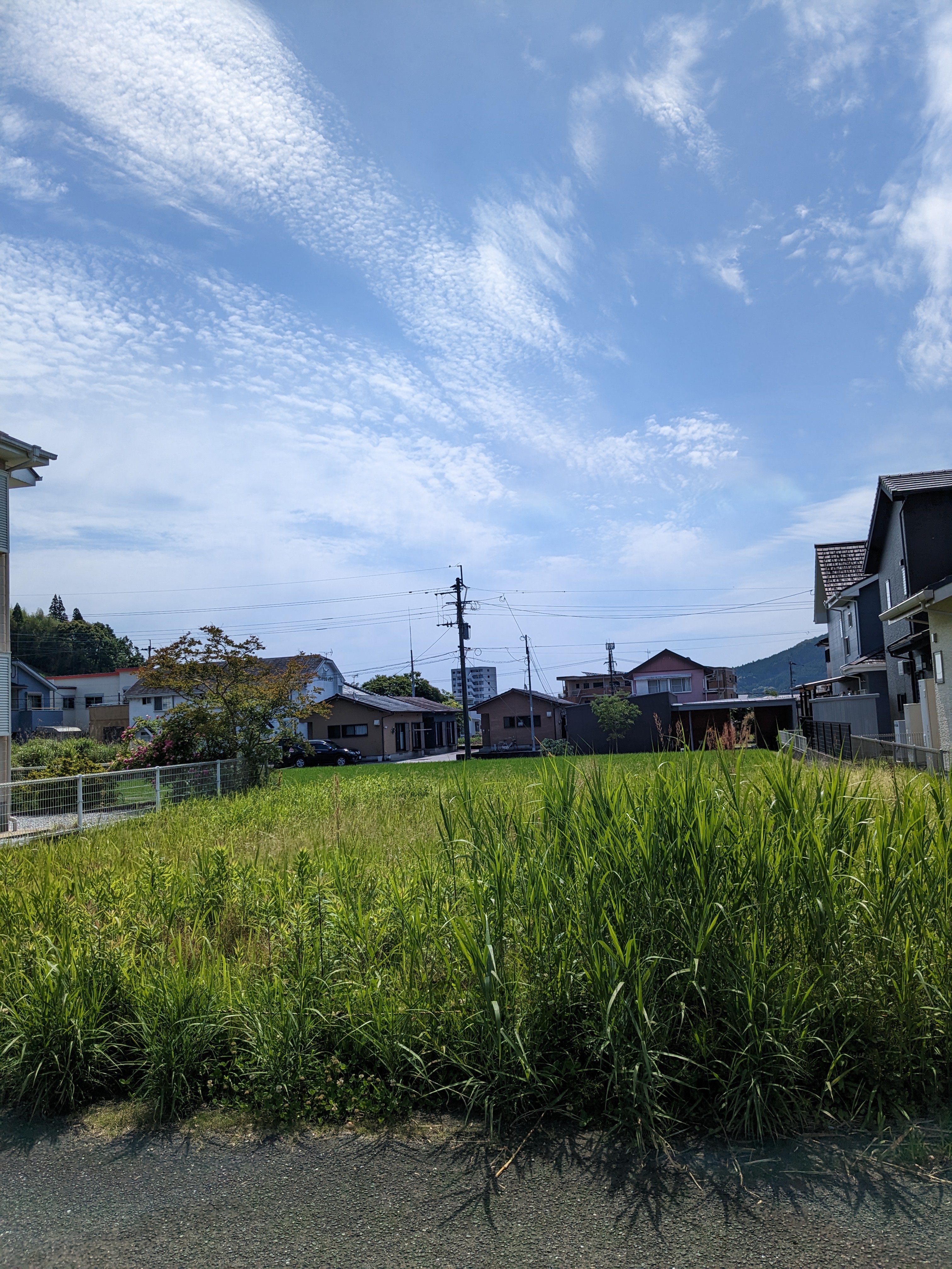  日南市西弁分