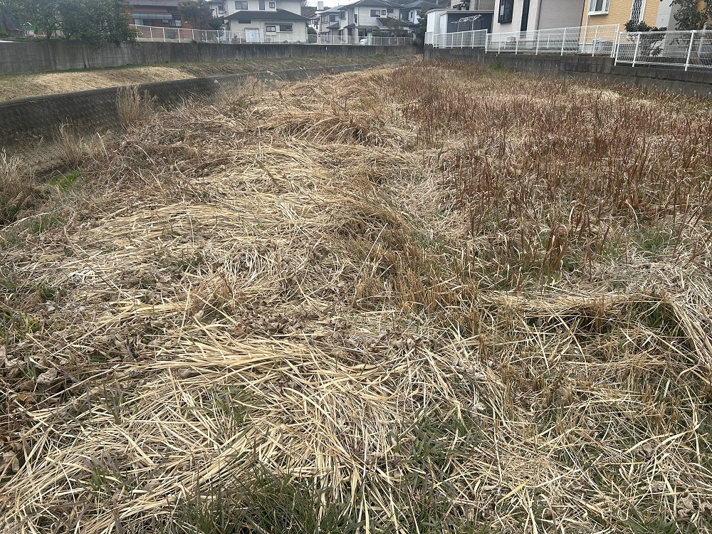  門川町門川尾末7333-1、7334-1