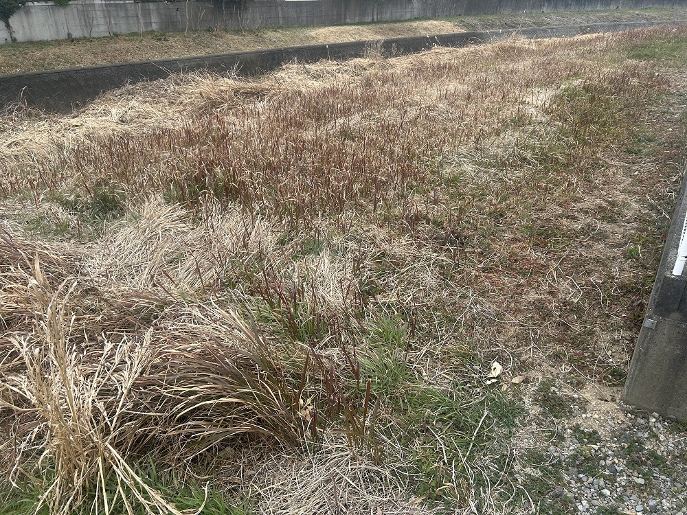  門川町門川尾末7333-1、7334-1
