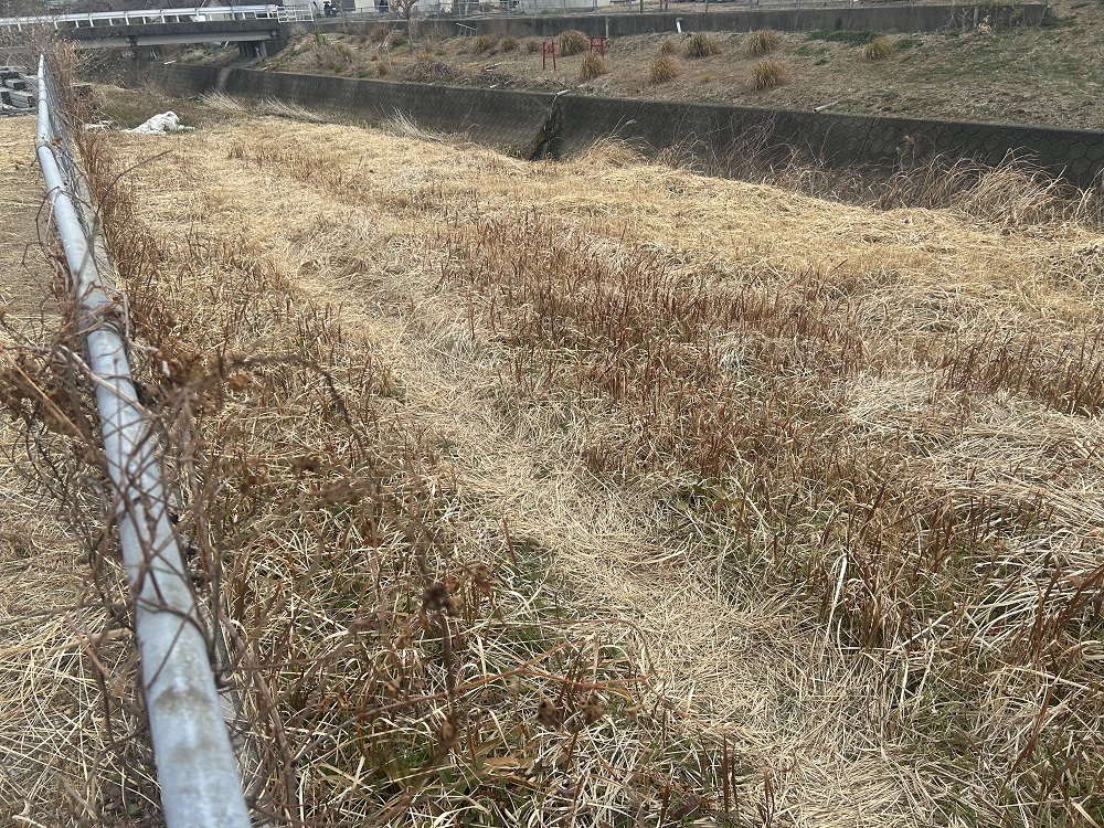  門川町門川尾末7333-1、7334-1