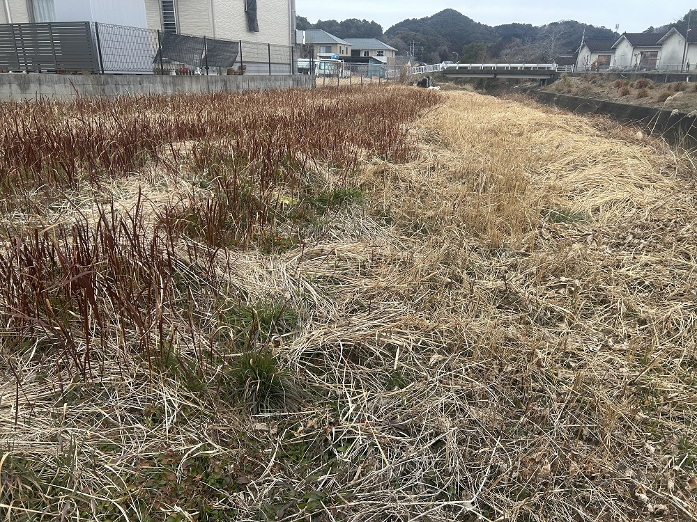  門川町門川尾末7333-1、7334-1