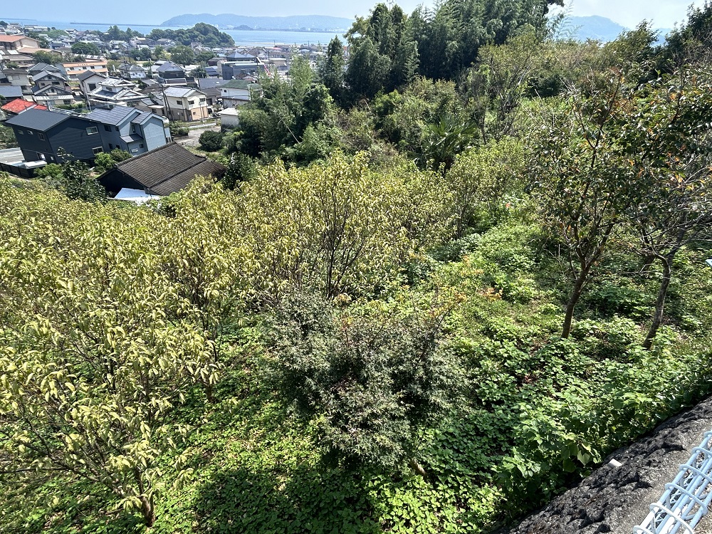  門川町門川尾末1636-1