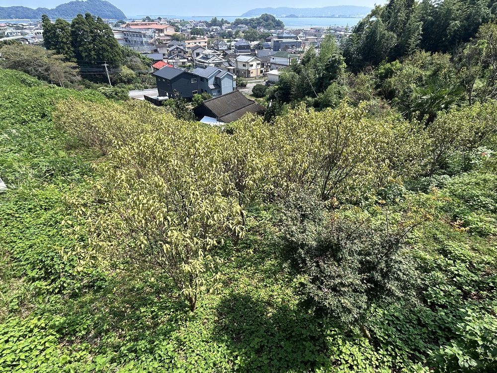  門川町門川尾末1636-1
