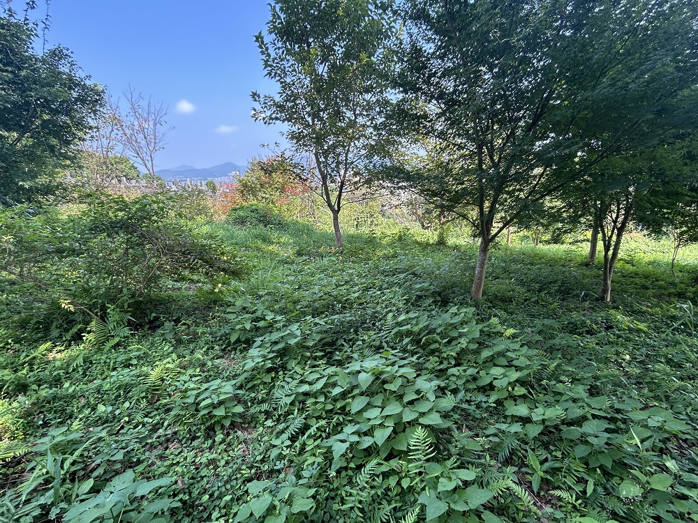 門川町門川尾末1636-1