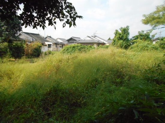  宮崎県えびの市大字島内