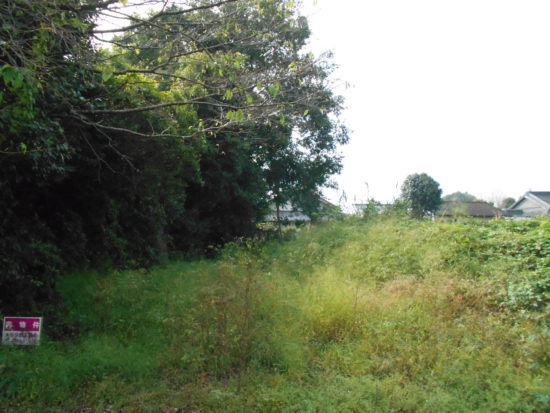  宮崎県えびの市大字島内