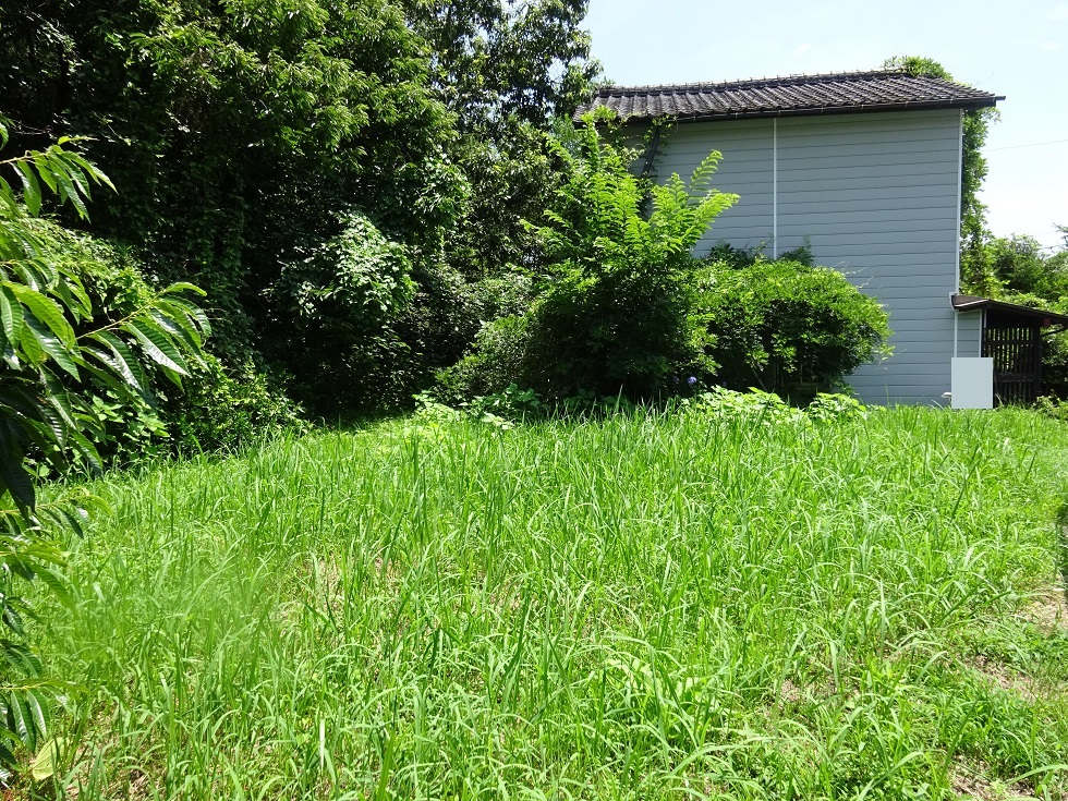 detached 高鍋町大字上江1387