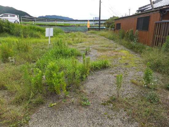  宮崎県えびの市大字湯田