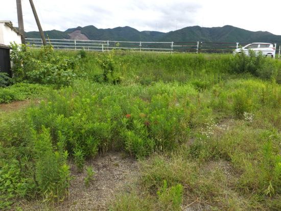  宮崎県えびの市大字湯田