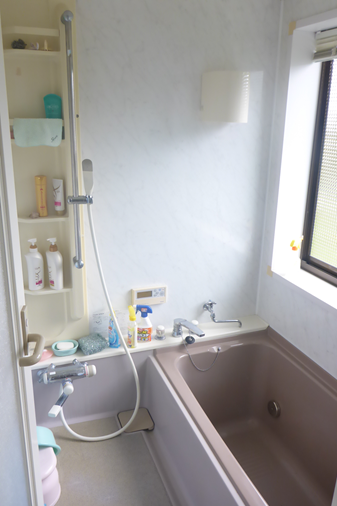 House in Gokese, Miyazaki: photo 4