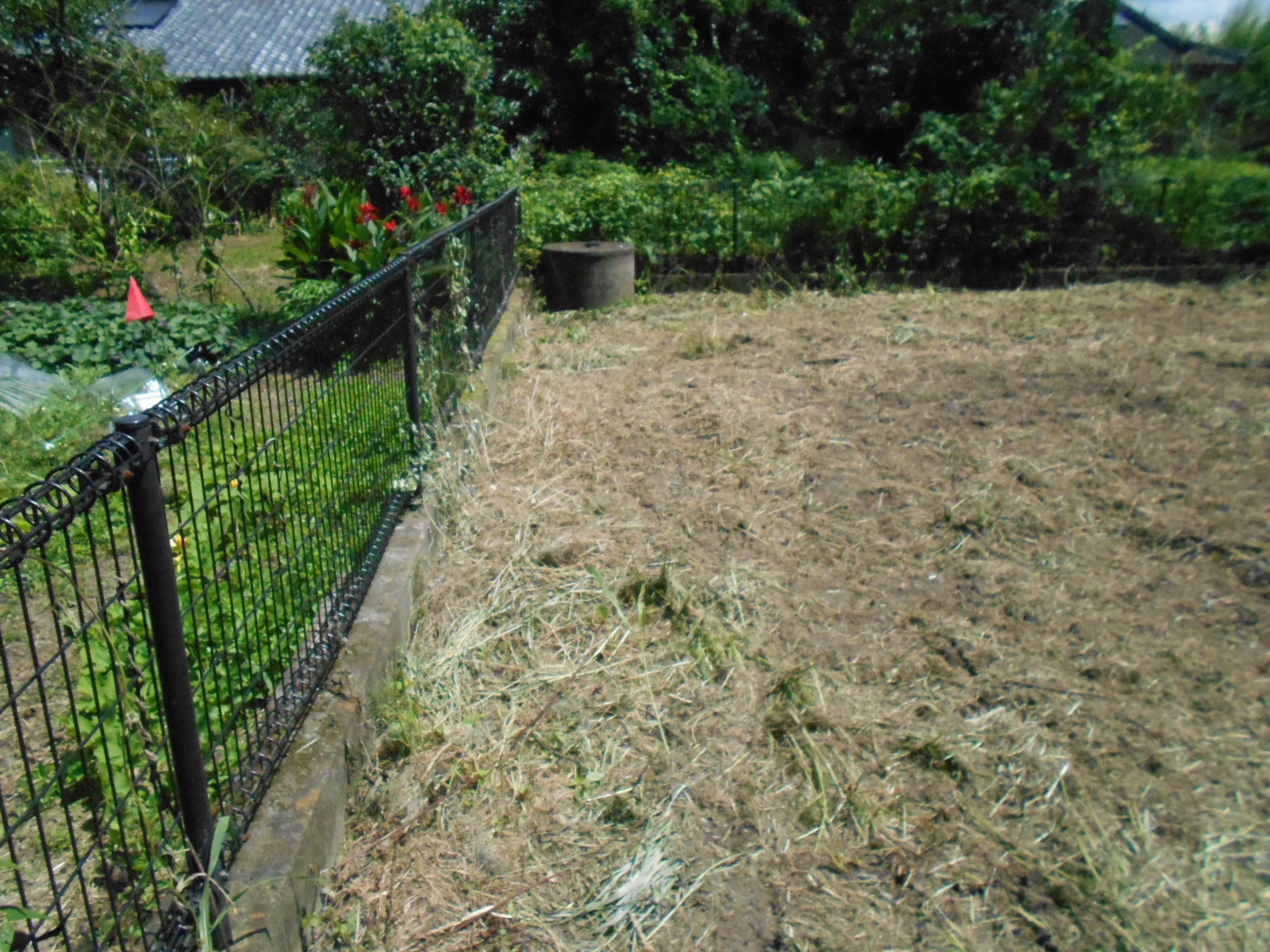 House in Ebino, Miyazaki: photo 2