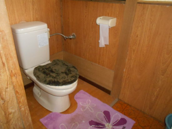 House in Ebino, Miyazaki: photo 4
