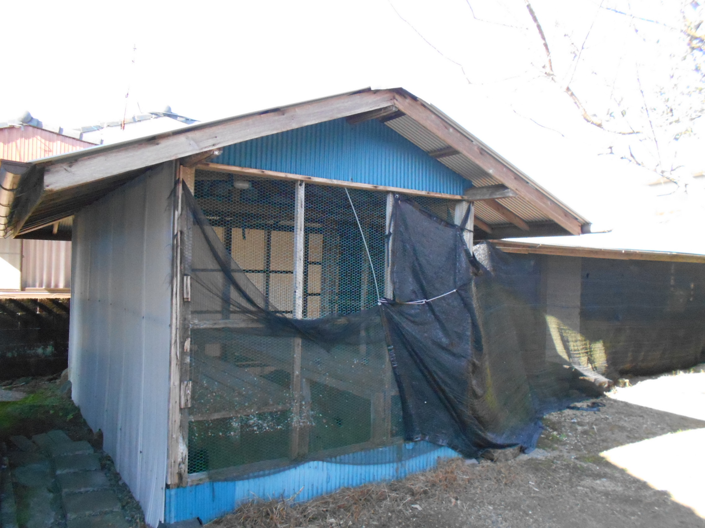 House in Ebino, Miyazaki: photo 3