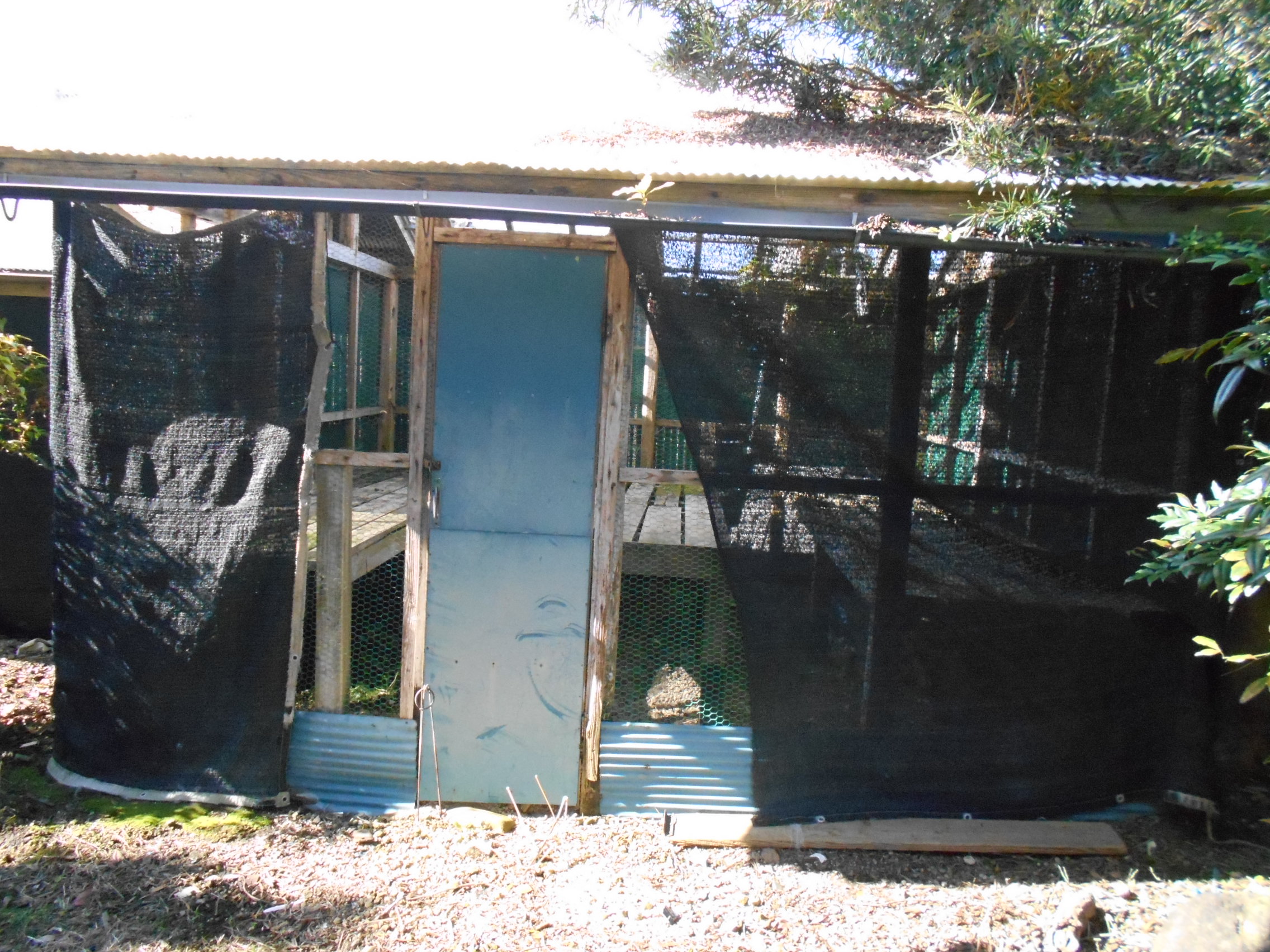 House in Ebino, Miyazaki: photo 4