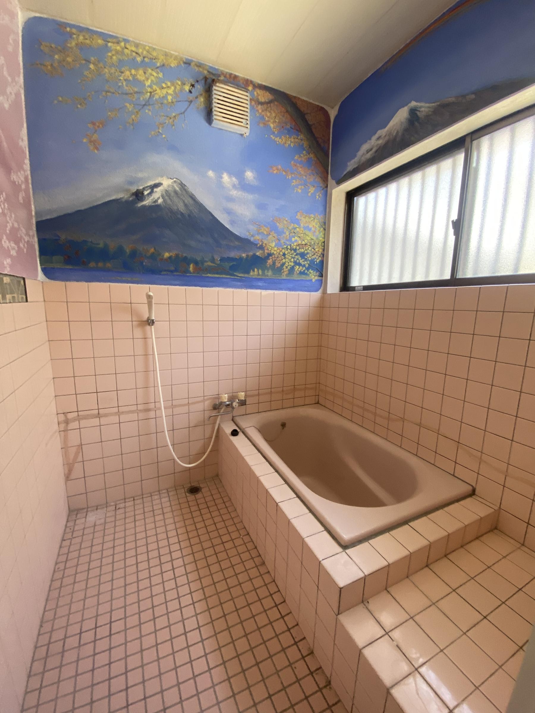 House in Nobeoka, Miyazaki: photo 4