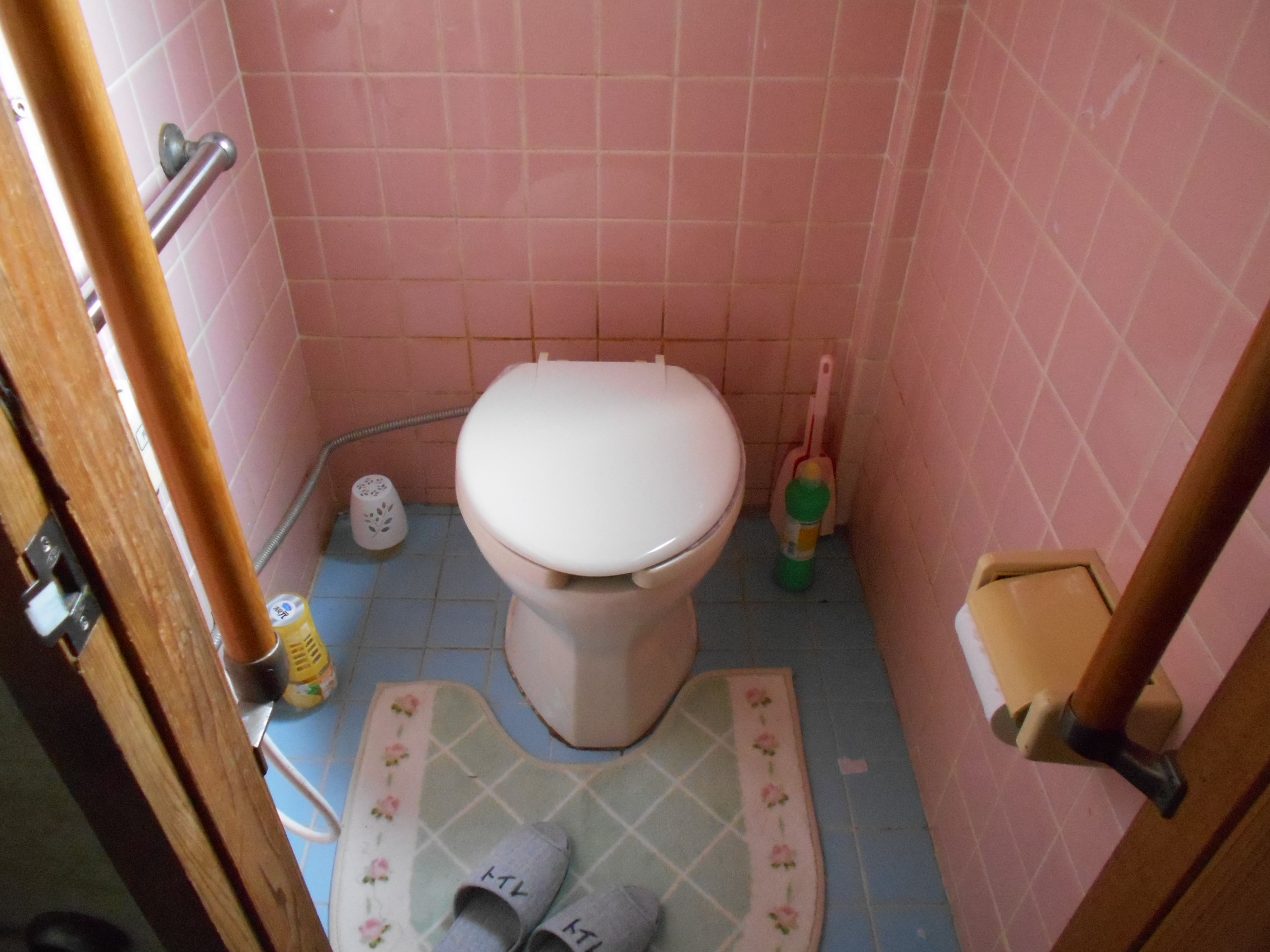 House in Ebino, Miyazaki: photo 4