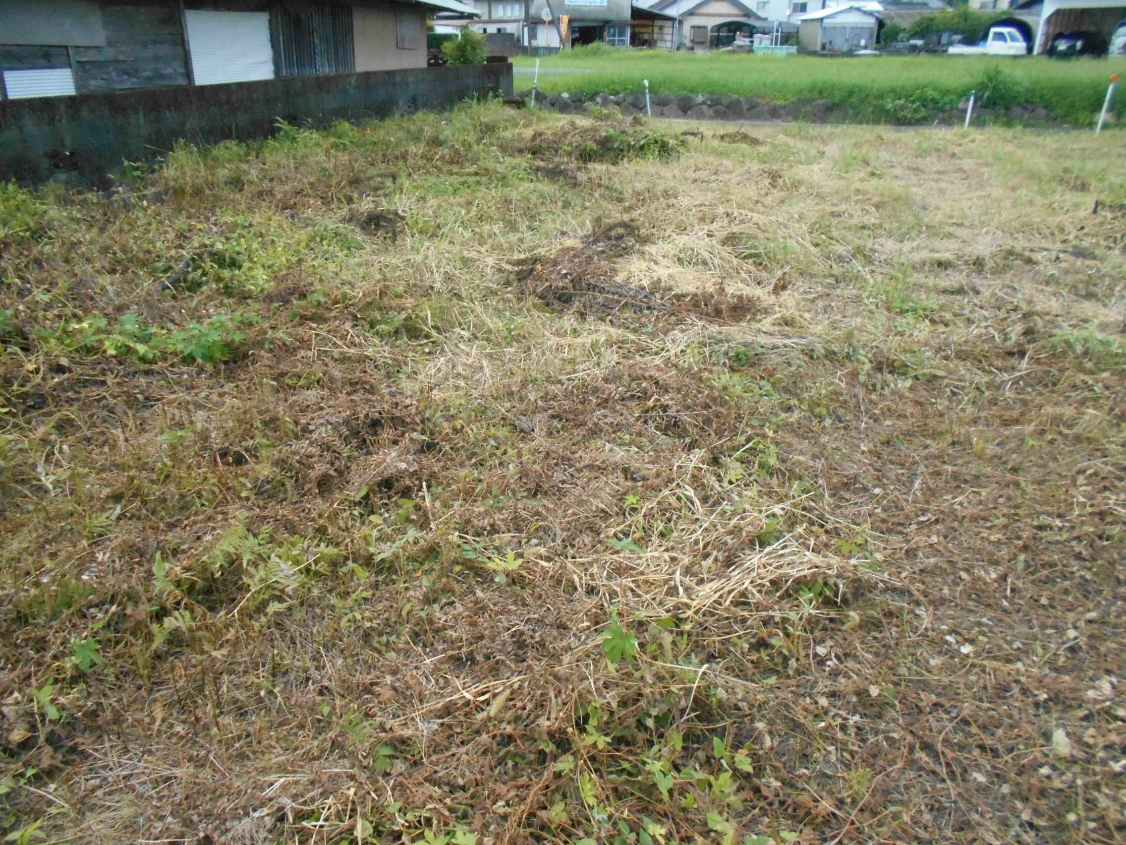 House in Ebino, Miyazaki: photo 3