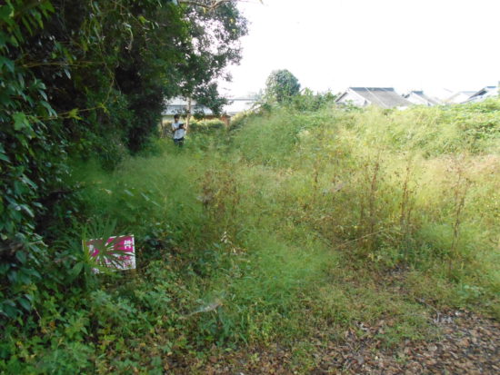 House in Ebino, Miyazaki: photo 1