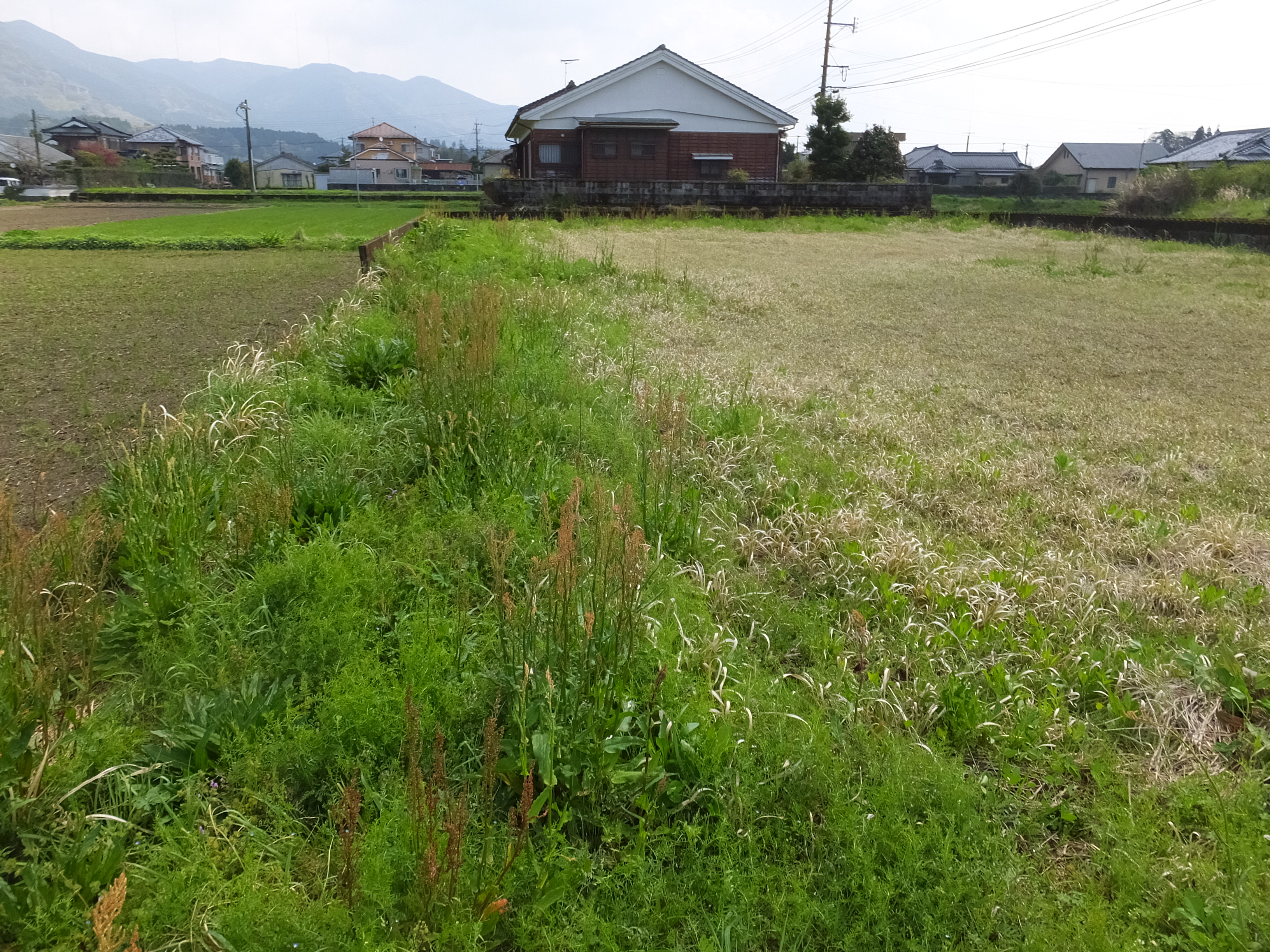 House in Ebino, Miyazaki: photo 3