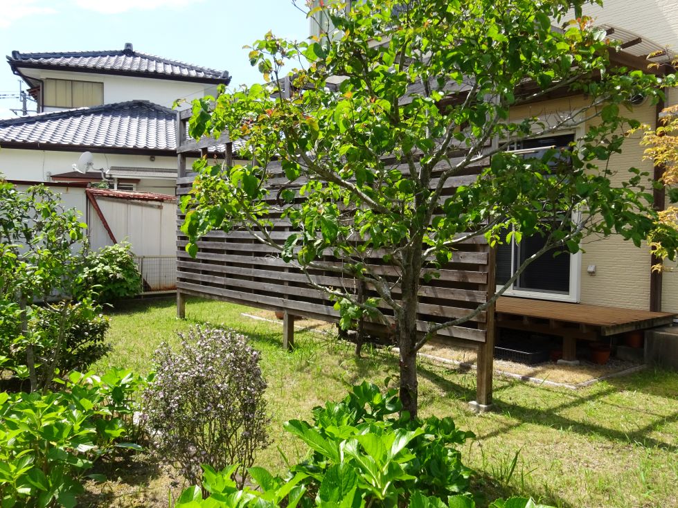 House in Takanabe, Miyazaki: photo 3