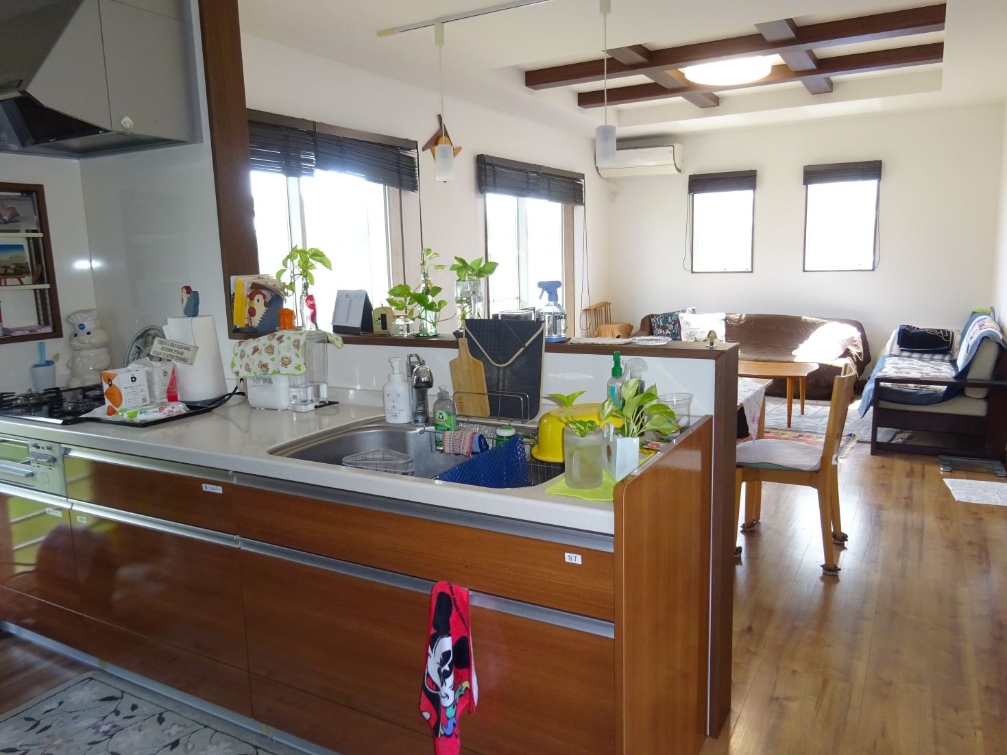 House in Takanabe, Miyazaki: photo 4